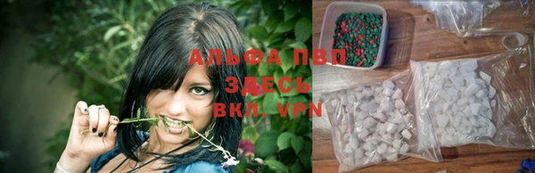 сатива Алексин