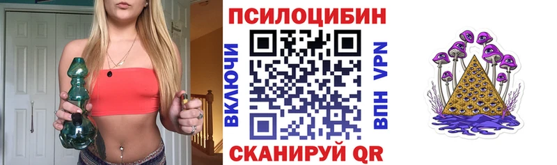 KRAKEN   магазин    Инсар  Галлюциногенные грибы Cubensis 